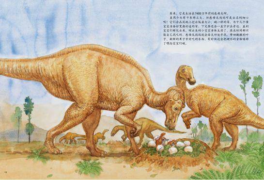 澳门四不像正版资料大全凤凰，精选解释解析与落实