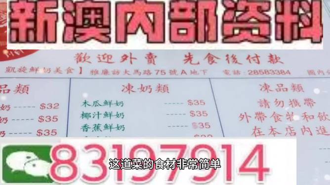 澳门内部资料精准公开，解析与落实的精选解释