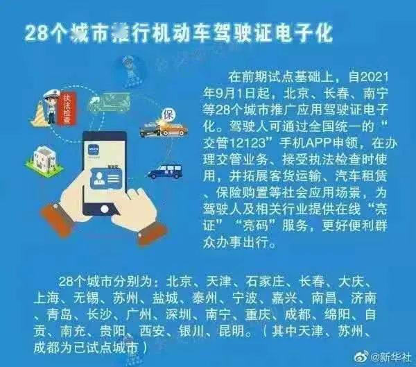 关于4949彩正版免费资料的精选解析与落实策略