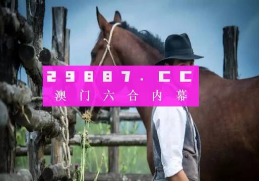 澳门一肖一码一必中一肖，解析与落实的精选之道