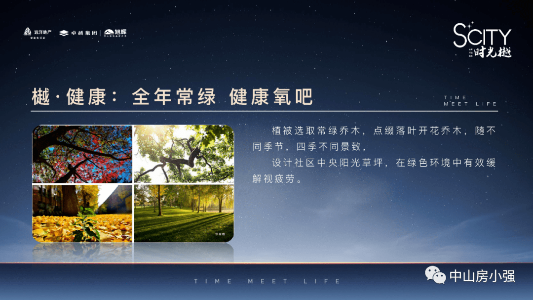 新澳门一码一码100准，解析与落实精选之道