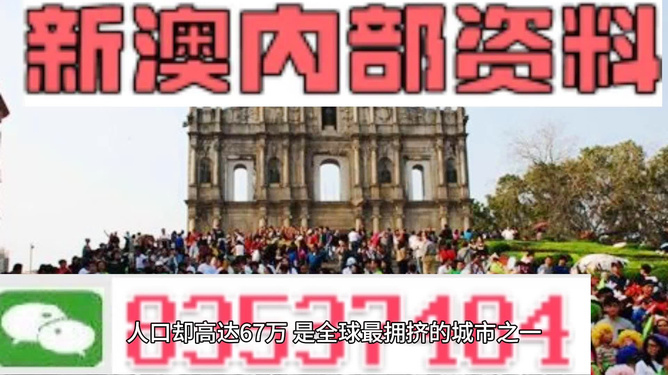 澳门一肖中100%期期准——解析与落实精选策略