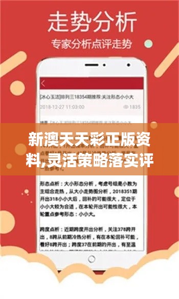 新澳2024今晚开奖资料，精选解释解析与落实策略