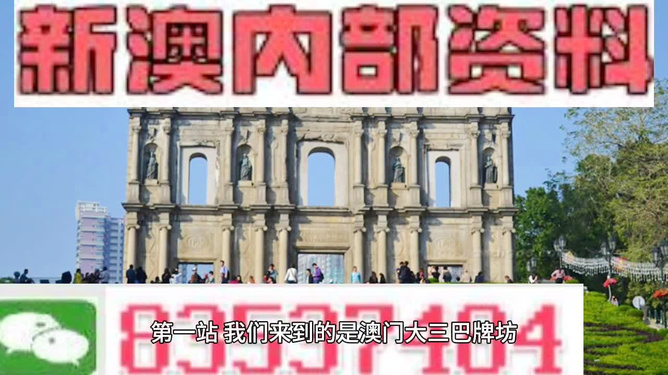 新澳新澳门正版资料，精选解释解析与落实策略