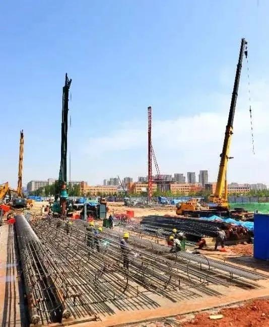 2024年资料免费大全——精选解释解析与落实策略