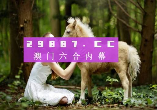 澳门4949精准免费大全，解析与落实精选之道