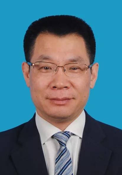 2024新奥正版资料大全，精选解释解析与落实策略